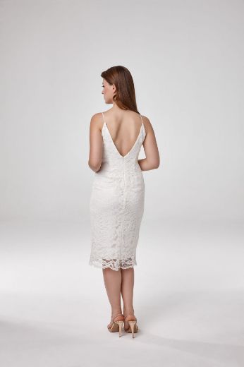 41101 resmi